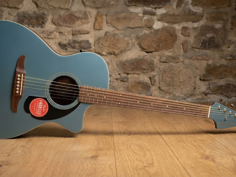 Fender Newporter